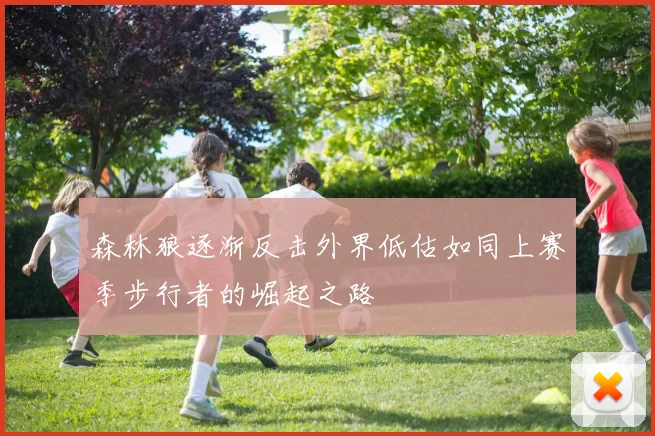 森林狼逐渐反击外界低估如同上赛季步行者的崛起之路