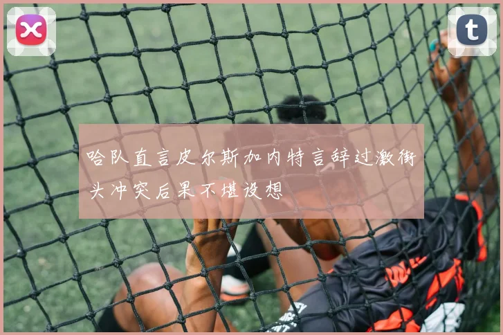 哈队直言皮尔斯加内特言辞过激街头冲突后果不堪设想
