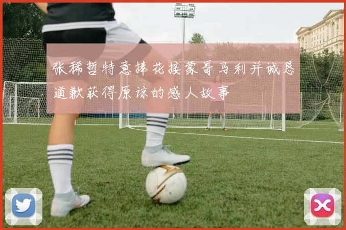 张稀哲特意捧花接蒙哥马利并诚恳道歉获得原谅的感人故事