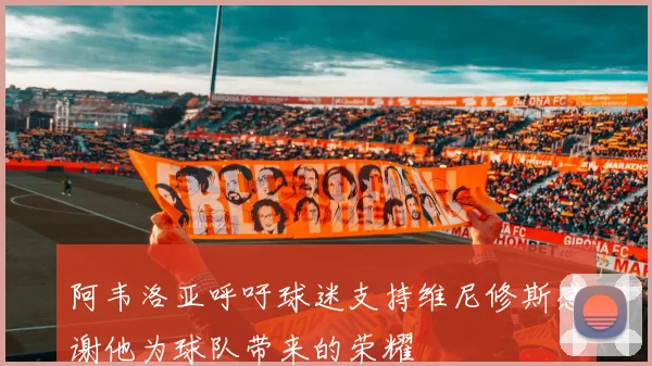 阿韦洛亚呼吁球迷支持维尼修斯感谢他为球队带来的荣耀