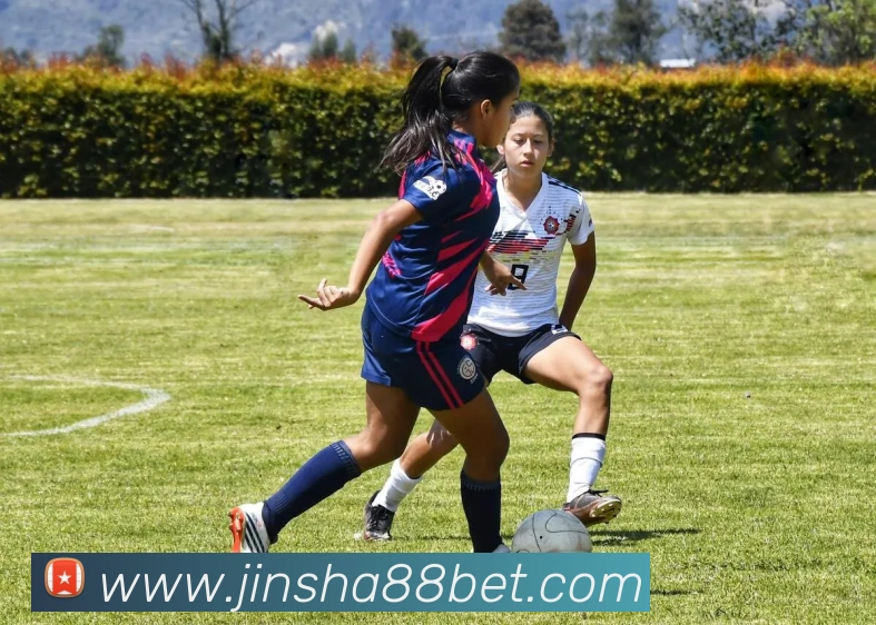 金沙国际服务体系